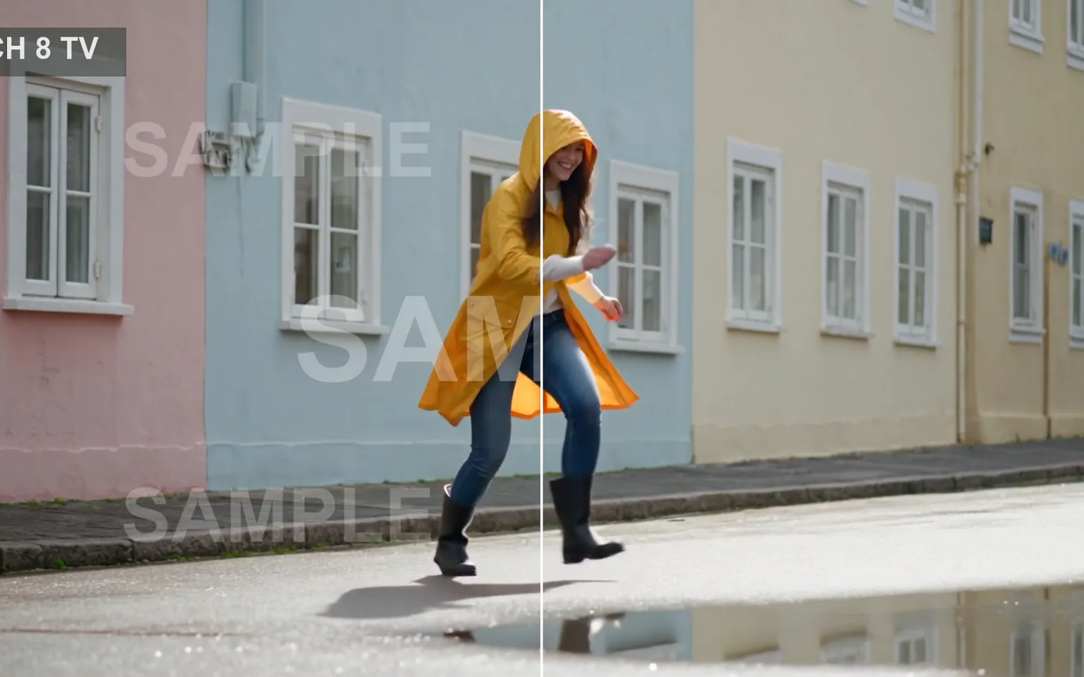 Video Watermark Remover